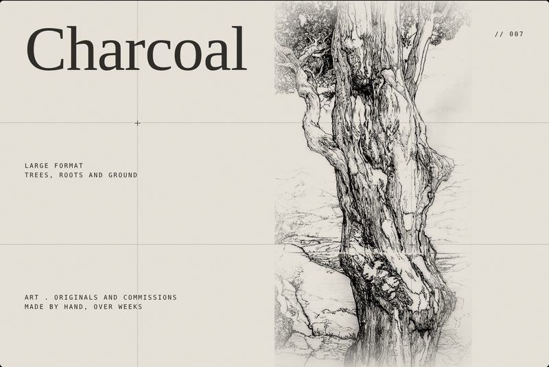 Charcoal, large format drawings